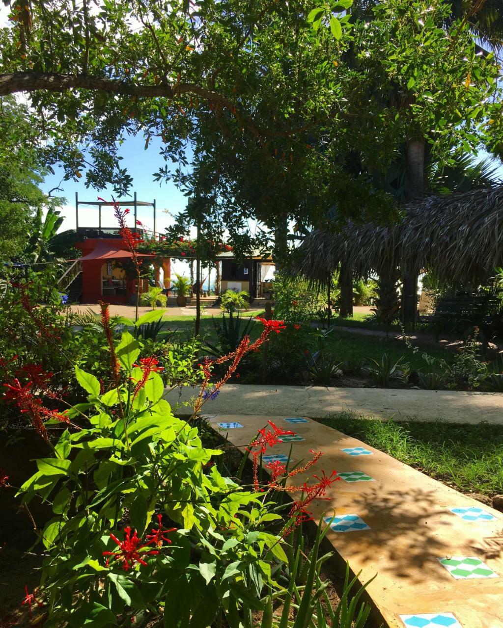 Katamah Beachfront Guesthouse 特雷热比奇 外观 照片
