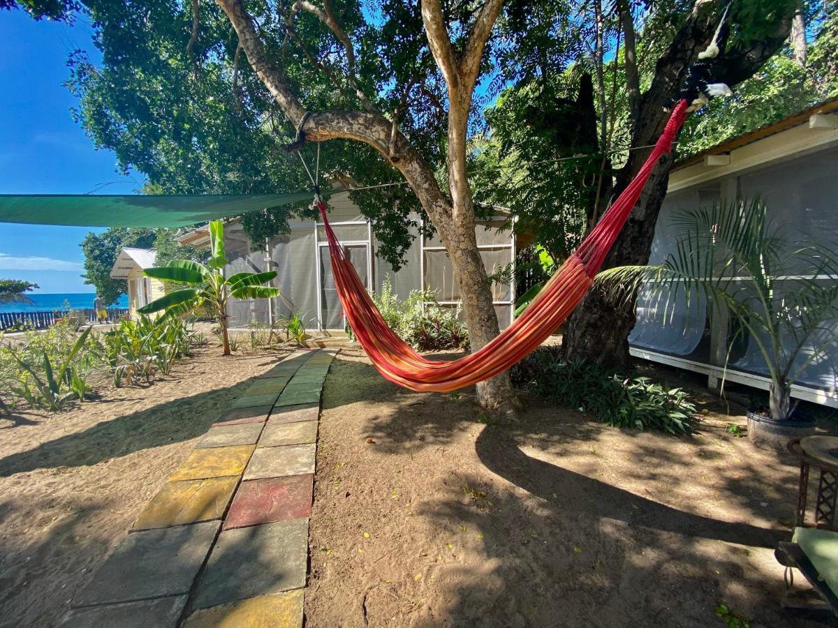 Katamah Beachfront Guesthouse 特雷热比奇 外观 照片